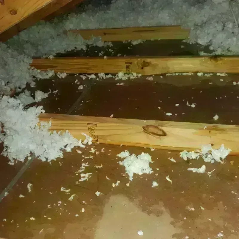 Attic Water Damage in Fincastle, TN